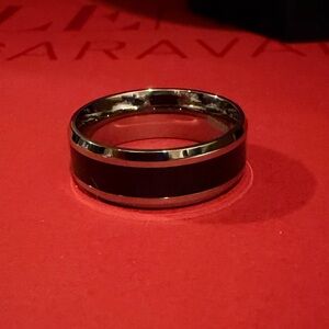 Titanium Men’s Band Ring with Shungite Accent